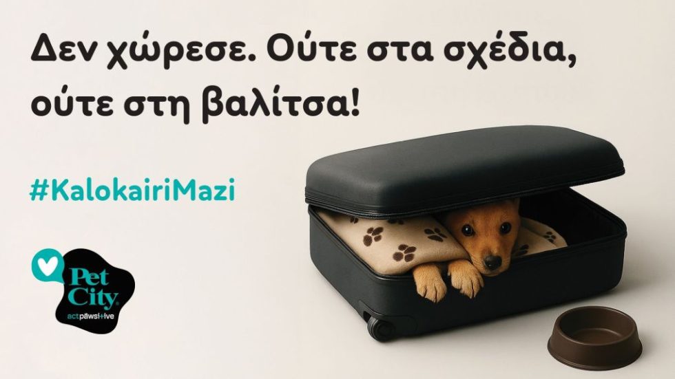 Pet_City_Kalokairi_Mazi